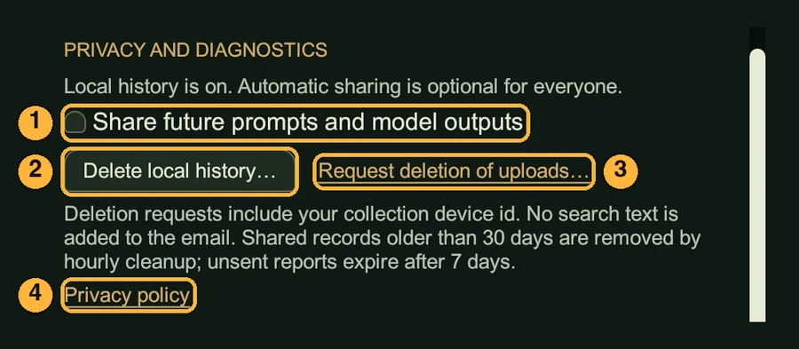 The Privacy and diagnostics part of Settings: a Share future prompts checkbox, Delete local history button, Request deletion of uploads link and Privacy policy link, numbered 1 to 4.